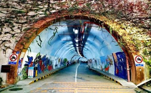 去厦门必去的地方排名前十(厦门市区必去的地方)插图10
