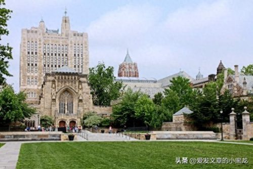 全球最大的大学排名前十(十大世界大学排名榜)插图9