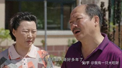 十大绝版电视剧排行榜前十(年度十大电视剧大全)插图13