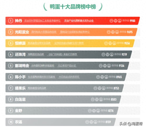销售鸡蛋的企业排名前十(全国最大的鸡蛋企业)插图1