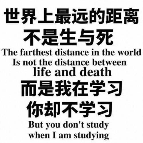 排名前十的学生靠什么靠谱(学生学习软件排名)插图3