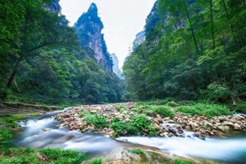 世界最美森林公园排名前十(十大森林公园排行榜)插图1