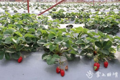 沾益区注册公司排名前十(从化公司注册排名前十)插图4