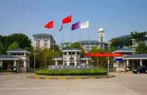 东莞龙岗的小学排名前十(凤岗的小学排名一览表)插图34