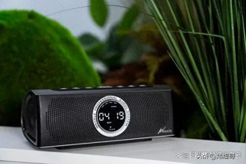 发烧友音响十大品牌排行榜(世界十大顶级音响)插图4