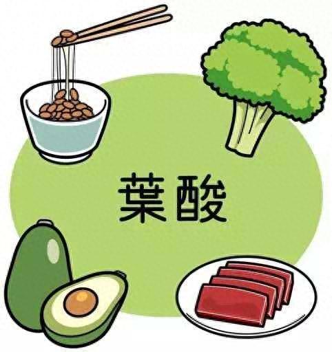 叶酸十大品牌排行榜前十名(全球公认的十大含叶酸高的食物)插图1
