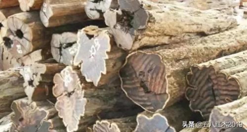 红木家具木料销量排名前十(缅甸红木木料批发)插图6