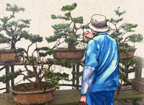 上海遮阳网厂家排名前十(遮阳网质量排行榜)插图3