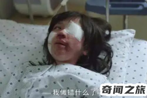 赵斗顺从轻判处服刑 (12)插图2