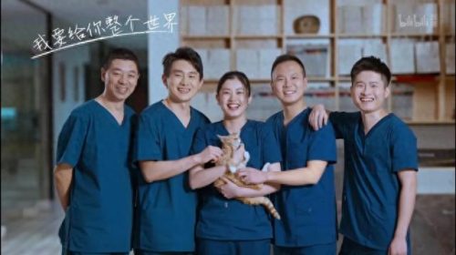 宠物第三季排名前十(宠物09年第三季)插图3