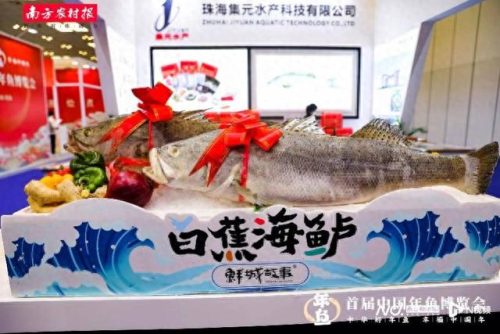 2018鱼线十大排行榜(口碑最好十大鱼线排名)插图2