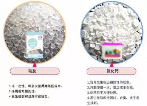 房间祛湿气十大排行榜(女性祛湿气最快的方法)插图18