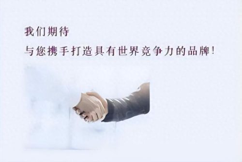 中国排名前十公关公司清远(中国十大公关公司排名)插图11