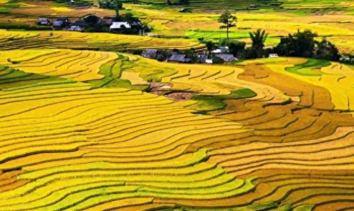 各国耕地面积比例排名前十(蒙古国可耕地面积)插图6