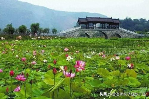 西安周边免费古镇排名前十(看西安周边免费的古镇)插图43