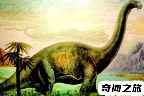 最危险的远古巨兽有哪些(最晚灭绝的远古巨兽)插图1