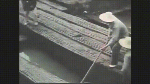 暗纹纹身十大禁纹排行榜(不可以纹的十大经典纹身)插图16