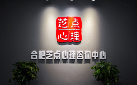 合肥婚姻心理咨询排名前十(合肥婚姻介绍所靠谱的)