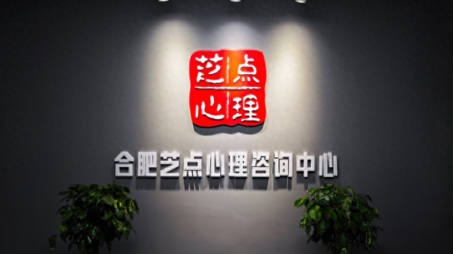 合肥婚姻心理咨询排名前十(合肥婚姻介绍所靠谱的)插图
