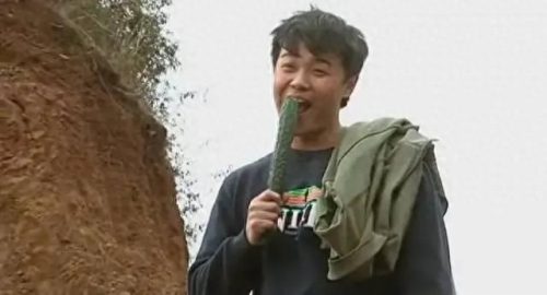 有什么好看的电视剧吗(2023口碑最好十部国剧)插图16