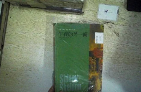 美国作家小说排名前十(美国重生小说排行榜)插图4