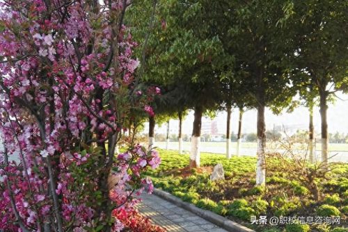 麒麟区财会公司排名前十(曲靖财会公司十大排名)插图3