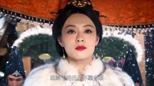 十大霸气电视剧排行榜(十大好看电视剧)插图7