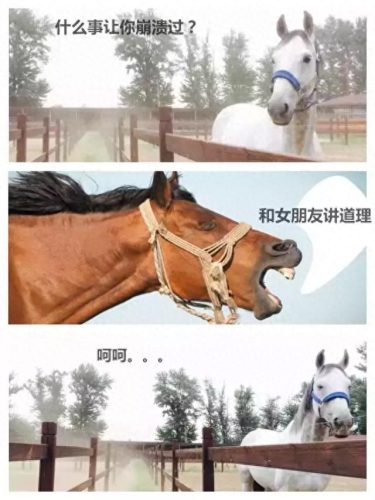 辩论赛中噎死对方的话(一句噎死对方的神回复)插图14