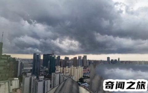 实拍上海暴雨(上海暴雨)