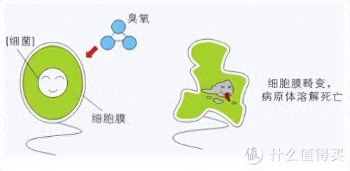 洗衣机除螨效果排名前十(洗衣机哪种除菌除螨比较好)插图21