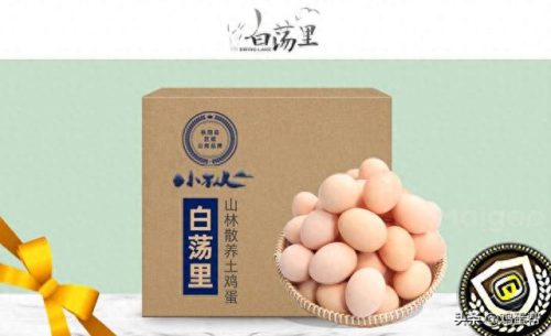 销售鸡蛋的企业排名前十(全国最大的鸡蛋企业)插图9