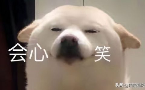 常用办公软件有哪几个(五大常用办公软件有哪些)