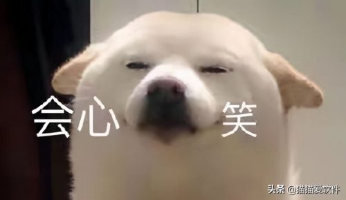常用办公软件有哪几个(五大常用办公软件有哪些)插图