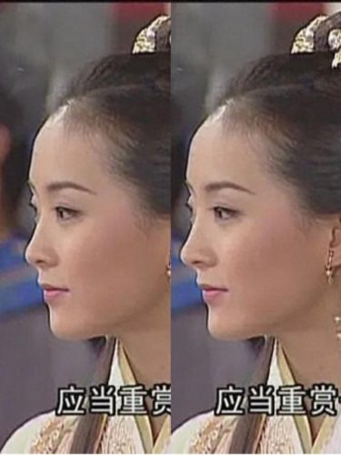 中国女明星十大鼻子排行榜(中国鼻子最美的十大女星)插图5