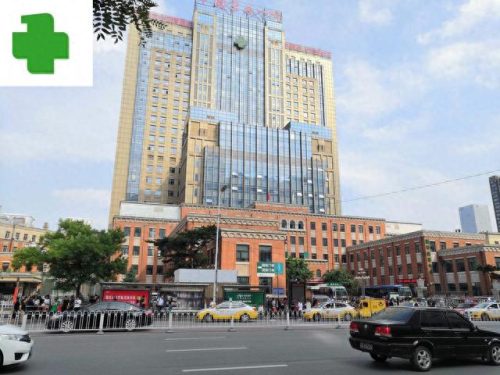 中国医院试验室排名前十(第三方医学实验室排名)插图18