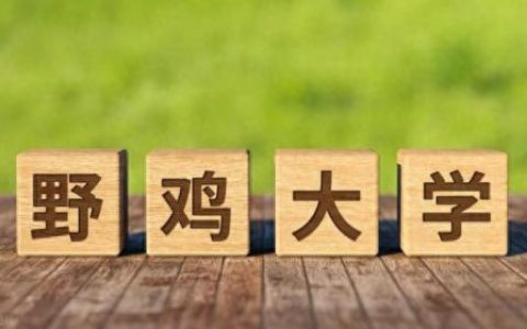 山东十大野鸡学院排行榜(广州涉外学院野鸡学校)
