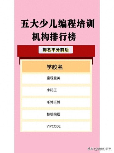 编程网课平台排名前十(网课编程课哪个最好)插图