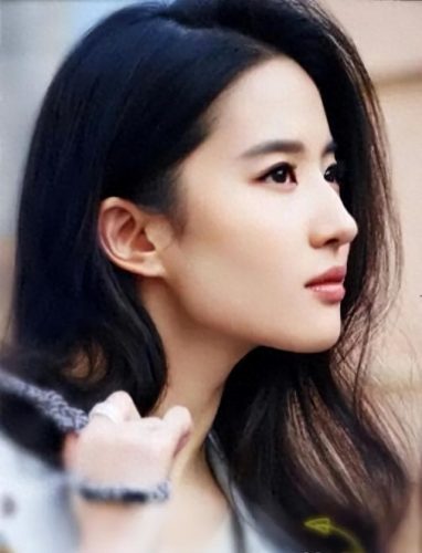 中国女明星十大鼻子排行榜(中国鼻子最美的十大女星)插图6