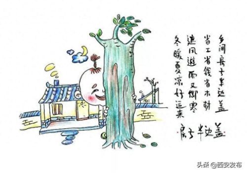 陕西八大怪(陕西十大怪)插图8