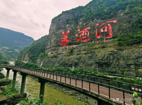 河源烧坊十大白酒排行榜(河源一般的白酒)插图9
