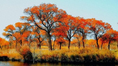 新疆十大景区排行榜前十名(新疆十大景区排名)插图10
