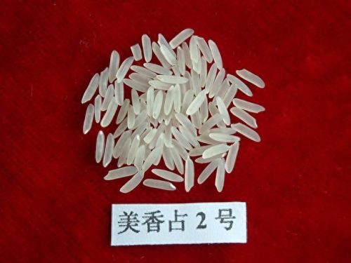 中国十大炒米饭品牌排行榜(中国最畅销的米饭是什么)插图2