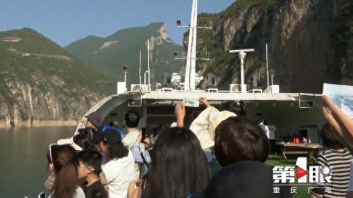 重庆最好的动物排名前十(重庆有什么珍稀动物)插图4