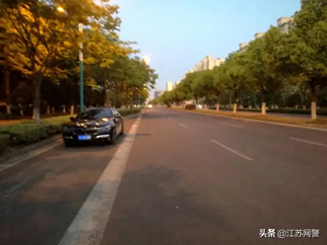 张家港宠物狗排名前十(昆山宠物狗排名)插图1