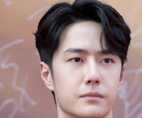 十大隐藏男明星排行榜图片(一线明星名单男)插图25