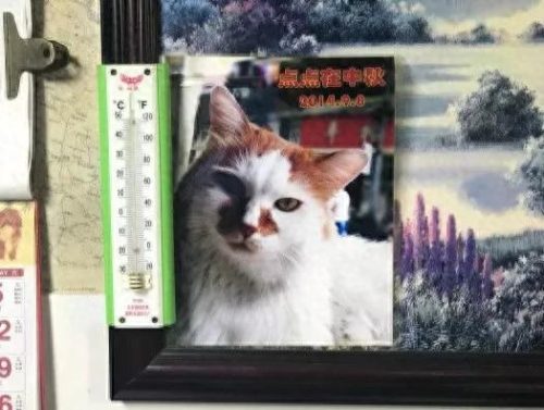 以前上海十大生煎排行榜(上海包子品牌十大排行榜)插图37