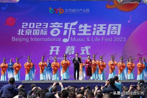 抖音十大历史神曲排行榜(抖音顶级十大神曲)插图