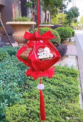 十大漂亮的灯笼排行榜图片(灯笼品牌排行榜前十名)插图35