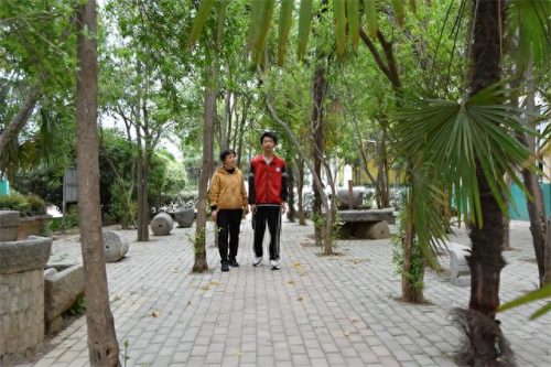 镇平县 初中排名前十(镇平县小学排名)插图2