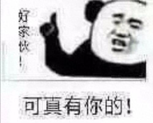 十大品牌安全裤排行榜女士(女生安全裤品牌推荐)插图7